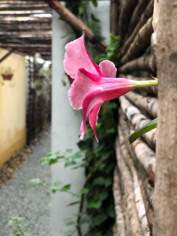 Leranda Homestay Hue Exterior photo